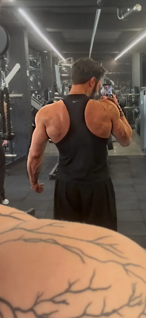 Fitboy 24, 24, Telavi 2